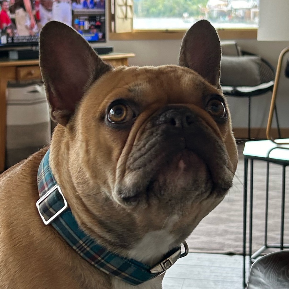 Meet your Posher, Brooke